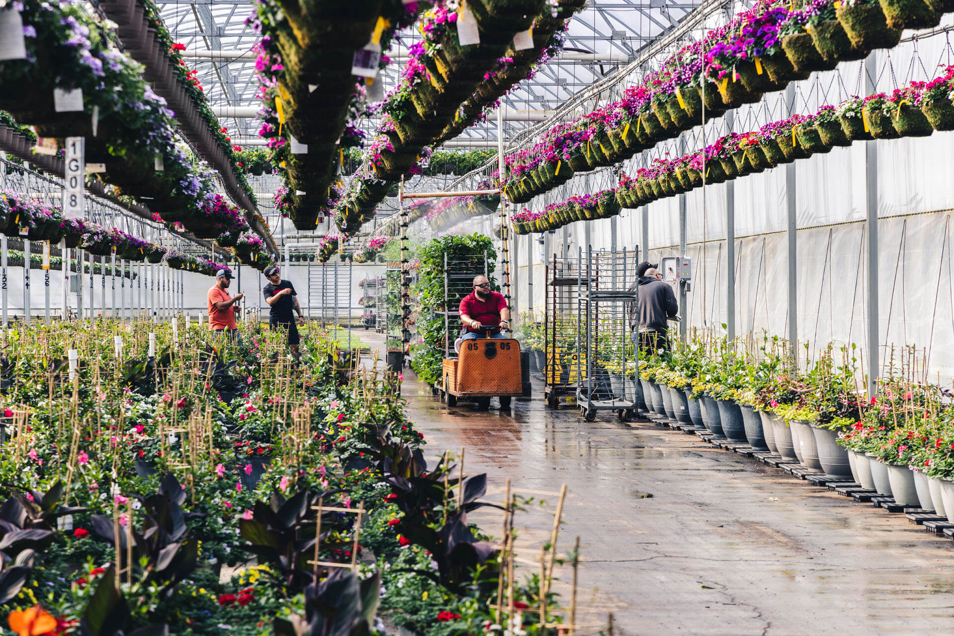 Casa Verde facility from above